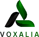 Voxalia : ESN à Lille, conseil Data, IA et Infrastructure