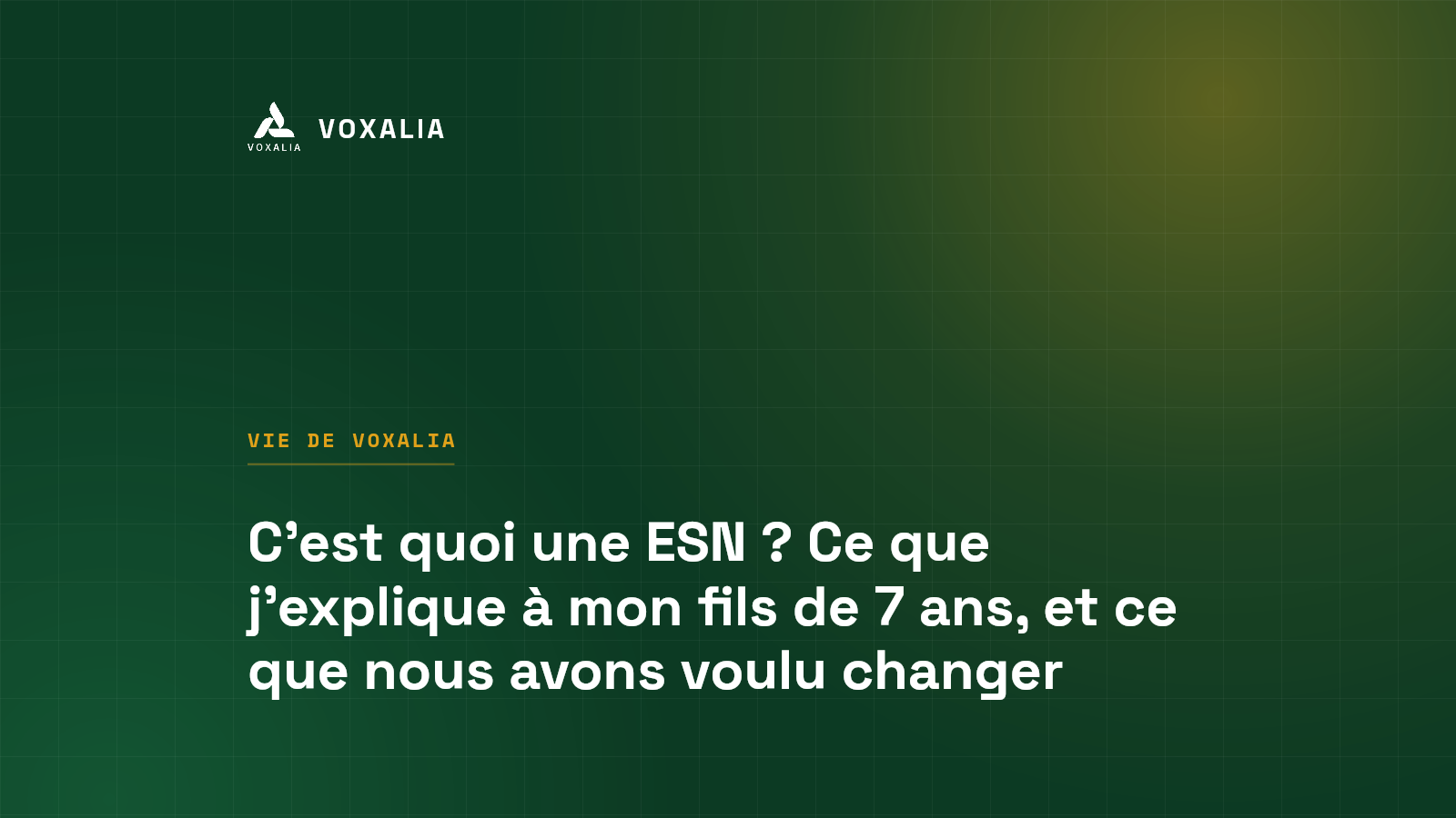 C'est quoi une ESN ? Définition expliquée à un enfant de 7 ans