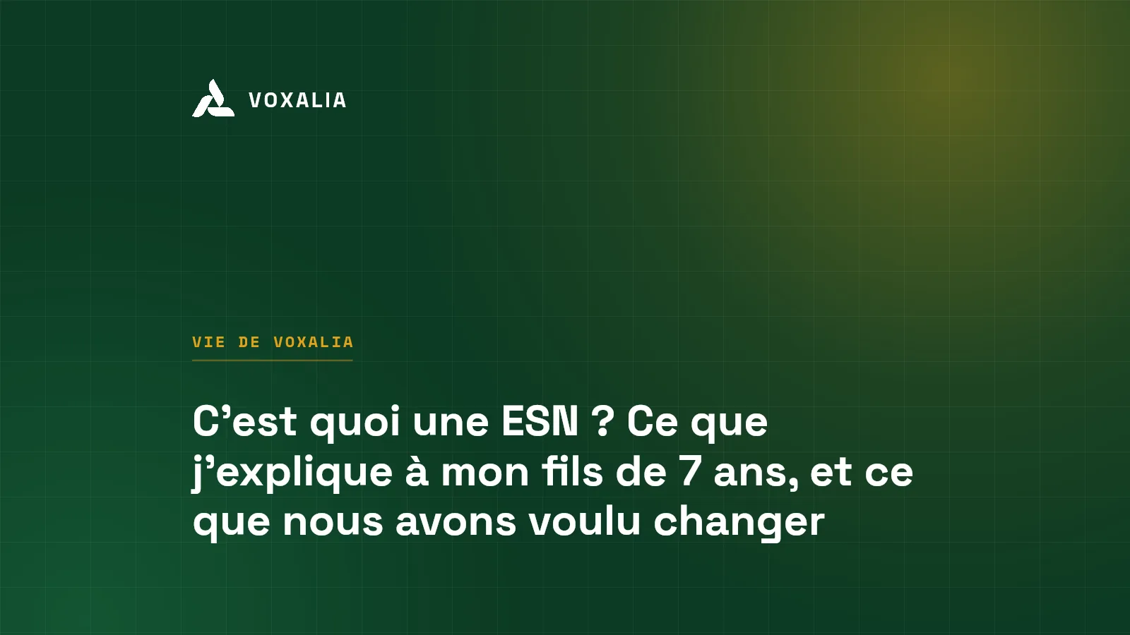 C'est quoi une ESN ? Définition expliquée à un enfant de 7 ans