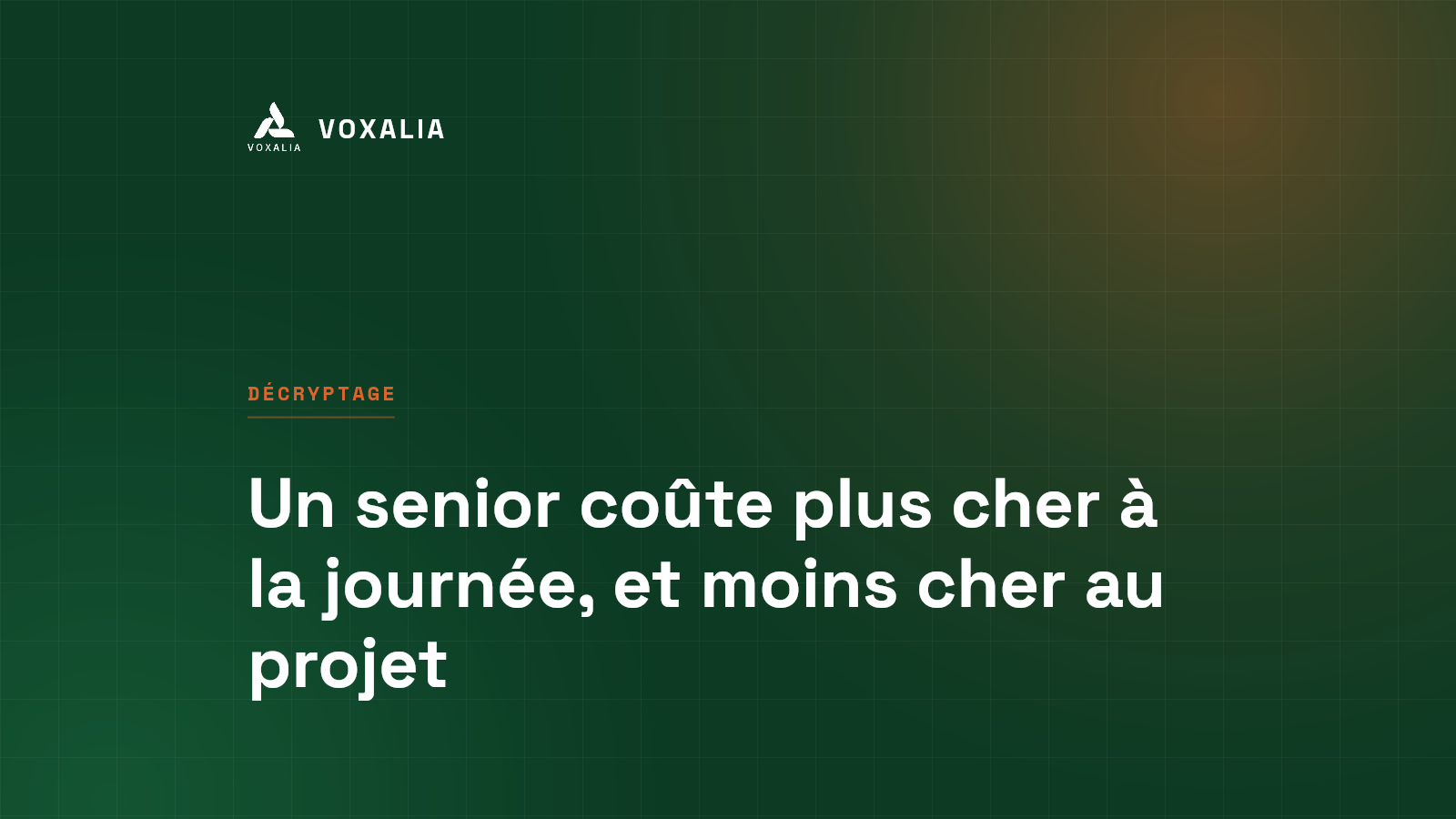 Consultant senior ou junior : le TJM contre le coût réel du projet
