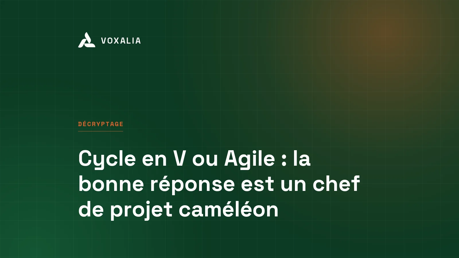 Cycle en V ou Agile, comment un chef de projet choisit selon le contexte