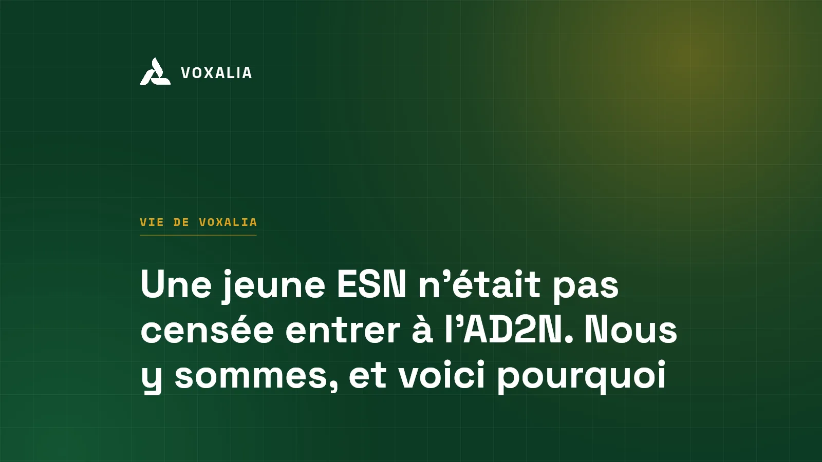 Voxalia, ESN de la métropole lilloise, membre de l'AD2N